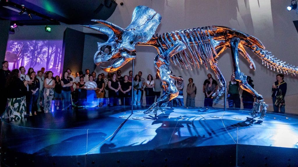 Party With Dinosaurs at Nocturnal’s Adults Only Museum After Dark