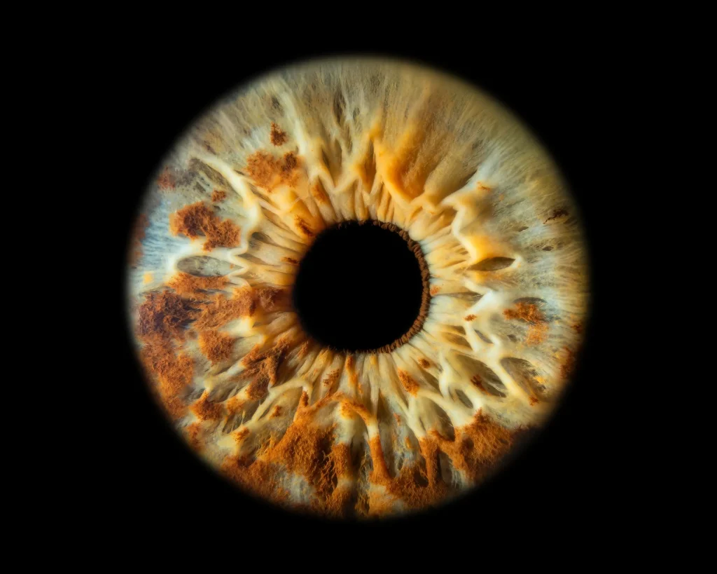 Close-up of a human iris captured by Creative Iris Photography in Melbourne.