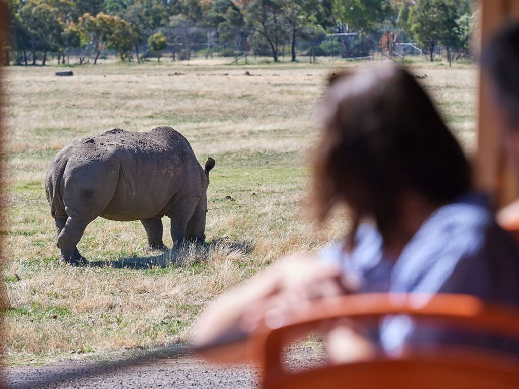 Slumber Safari at Werribee Zoo