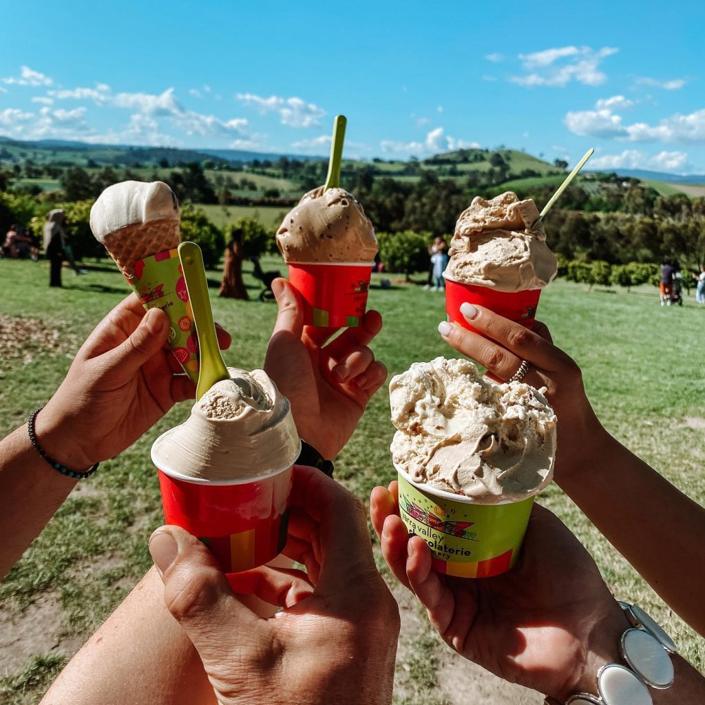Ready to indulge your sweet tooth and learn the art of chocolate making? Check out the Yarra Valley Chocolaterie & Ice Creamery for an unforgettable experience.