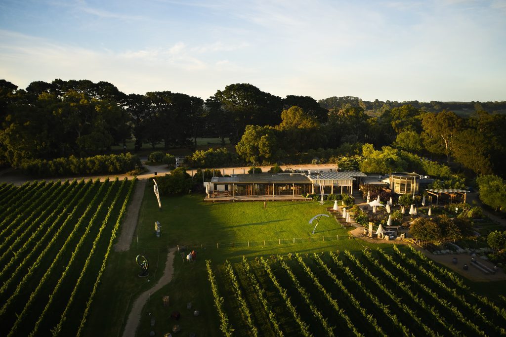 Estate to Plate Experience, Montalto Winery, Wine and Dine, Garden Tour, Sculpture Trail