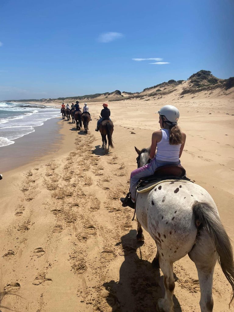 Horseback riding on St Andrews Beach with Gunnamatta Trail Rides