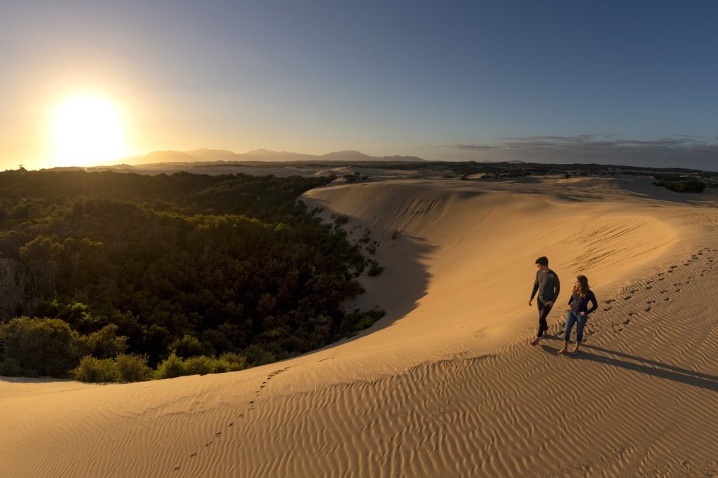 Hiker exploring the vast sand dunes of Big Drift Walk in Wilsons Promontory