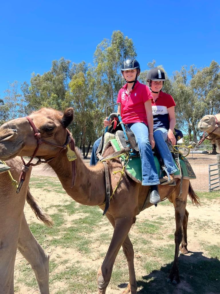Camel Rides Echuca, Billabong Ranch Camels, Fun Outdoor Activities in Echuca, Family-Friendly Animal Encounters Victoria