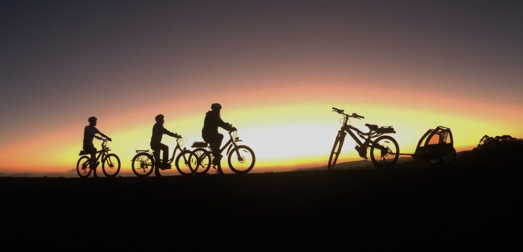 Cyclists enjoying the scenic Otway e bike tours through lush rainforests
