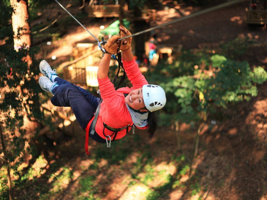 Treetops Adventure Belgrave aerial obstacle course