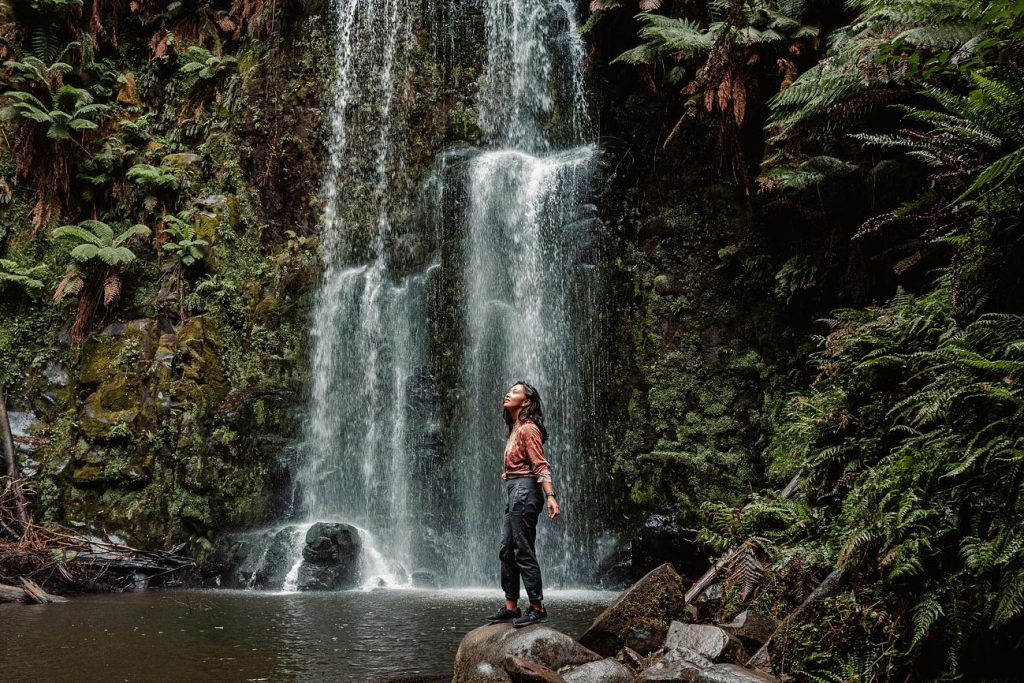 Beauchamp Falls cascading 20 metres into a lush, fern-surrounded pool in the Great Otway National Park