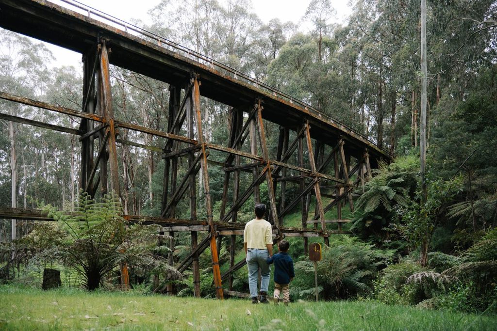 Noojee Trestle Bridge surrounded by lush forest, Historic timber trestle bridge in Gippsland, Scenic view of Noojee Rail Trail and bridge