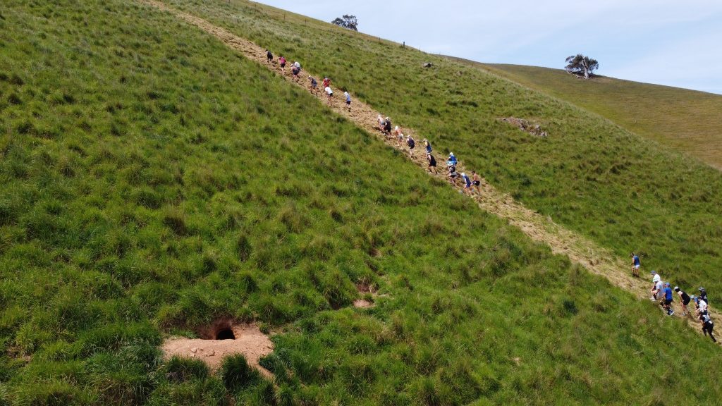 Runners climbing the hill at King of the Hill endurance event hosted by Hardcore Harry’s