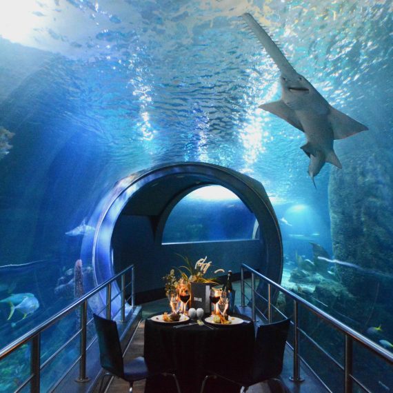 Private Dining at Sea Life Melbourne